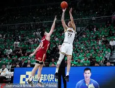 辽宁男篮再夺冠,壮举登上风口浪尖的简单介绍 辽宁男篮再夺冠,壮举登上风口浪尖的简单介绍